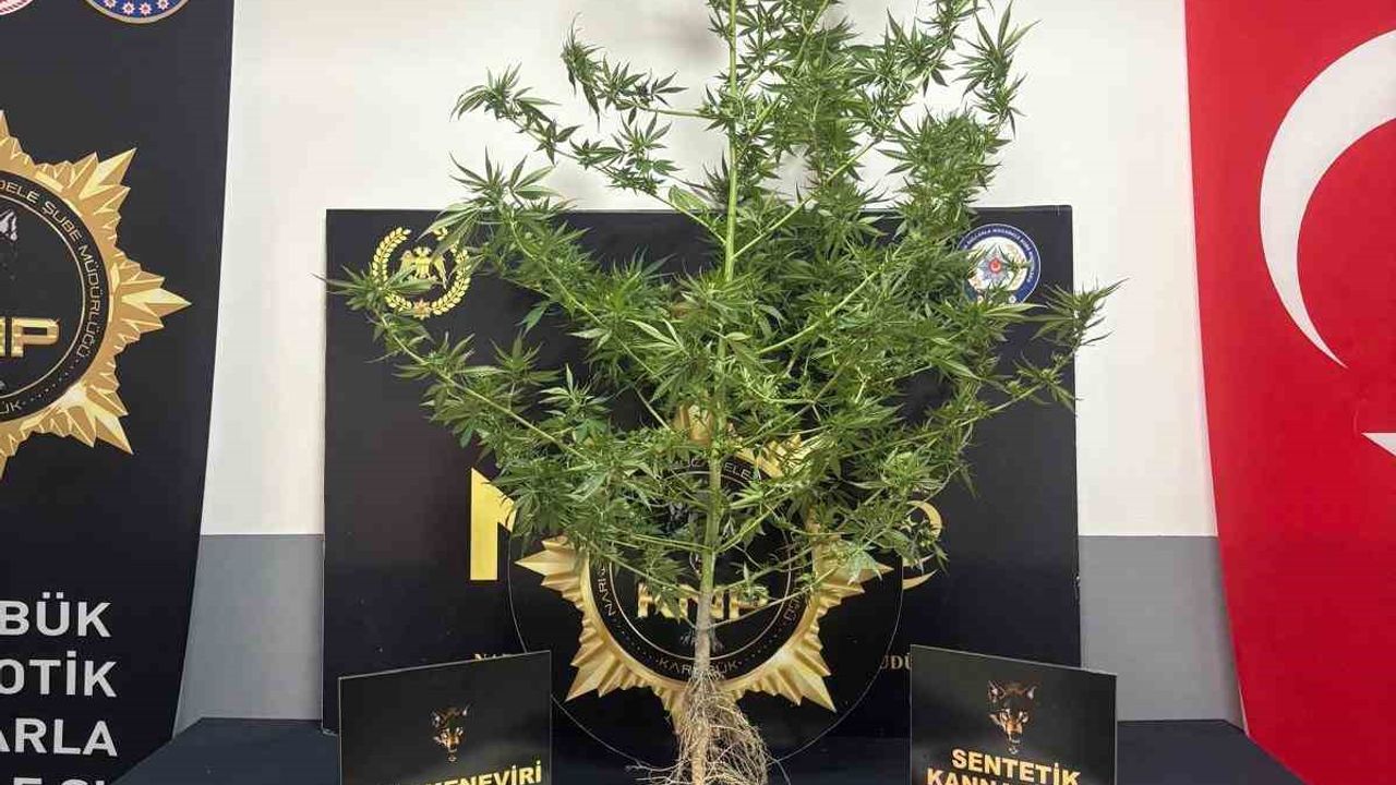 Karabük’te uyuşturucu operasyonu: 1 tutuklama