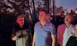 Karabük Valisi Yavuz:"Ovacık ve Safranbolu’daki yangınları kısmen kontrol altına aldık"