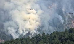 Karabük’teki orman yangınında rüzgar etkisini artırıyor