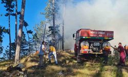 Karabük’teki yangınlara müdahale devam ediyor