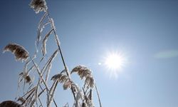 Meteoroloji, "azot dioksit gazı" ile ilgili açıklamada bulundu