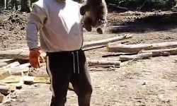 Orman işçilerinin yanına gelen yavru ayı koruma altına alındı