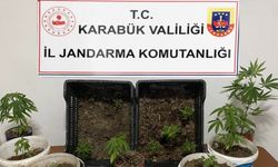 Karabük’te iki evde 14 kök kenevir ele geçirildi