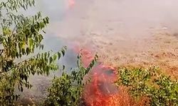 Karabük’te ot yangını büyümeden söndürüldü