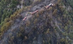 Orman yangınında zarar gören alanlar dronla görüntülendi