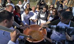 "Anadolu’dakiler" projesinin ilk "İmeci Ağı" dünyanın en pahalı baharatı safran oldu