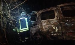Ağaca çarpan araç alev alev yandı