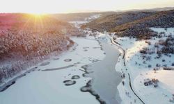 Buz tutan göletlerden kartpostallık manzaralar