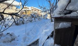 Karabük'te 80 yaşındaki kadın donmuş halde ölü bulundu