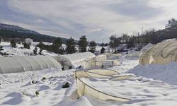 Yoğun kar çok sayıda serayı yıktı