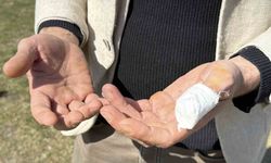 Başıboş pitbull, vatandaş ile köpeğine dehşeti yaşattı