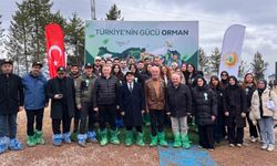 KBÜ Orman Fakültesi 'Türkiye'nin Gücü Orman' etkinliğine katıldı