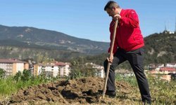 Başkan Çetinkaya bademin karşılığını emeğiyle ödedi