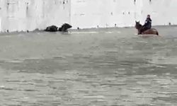 Yükselen suda mahsur kalan mandaları atıyla kurtardı