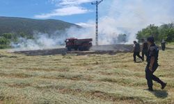 Anız yangını ormana sıçramadan söndürüldü