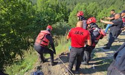 Filyos Çayı'nda akıntıya kapılan Erten'in cansız bedenine ulaşıldı