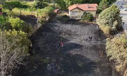 Jandarma, alevlerin arasındaki kaplumbağa ve yavrularını kurtardı