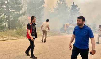 AK Parti Karabük Milletvekili Şahin "Bu, Karabük tarihinin en büyük yangını"