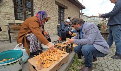 Tezgahlarda kanlıca bolluğu yaşanıyor: Kilosu 500 TL