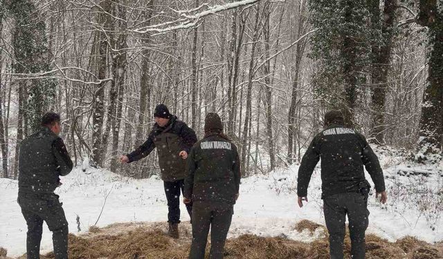 Yenice’de yaban hayvanları için doğaya yem bırakıldı