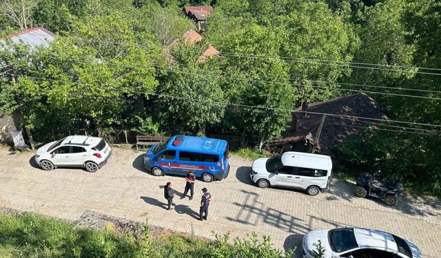Karabük’teki köpek ölümleriyle ilgili inceleme başlatıldı