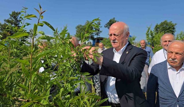 TZOB Genel Başkanı Bayraktar, Karabük’te zirai dondan etkilenen tarlaları inceledi