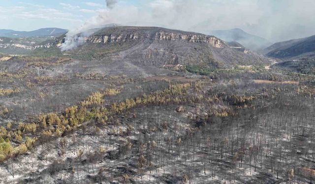 Karabük’te orman yangınlarındaki yürek burkan tahribat havadan görüntülendi