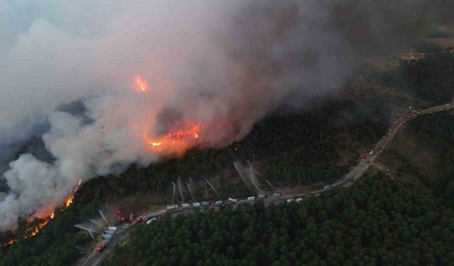 Karabük’te yeni orman yangını
