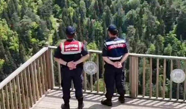 Ormanlar jandarma ve komandoların koruması altında