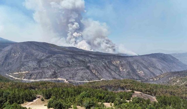 Rüzgar, Karabük’teki orman yangınlarını yeniden alevlendirdi