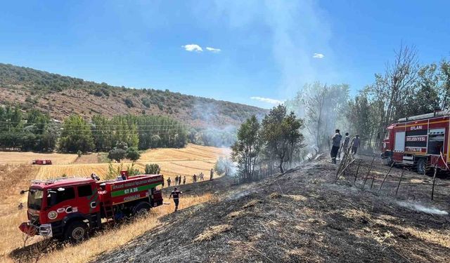 Bahçe yangını evlere sıçramadan söndürüldü