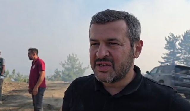 Karabük Belediye Başkanı Çetinkaya: "Yerleşim yerleriyle ilgili şu an tehlike görünmüyor"