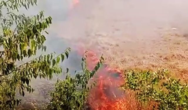 Karabük’te ot yangını büyümeden söndürüldü