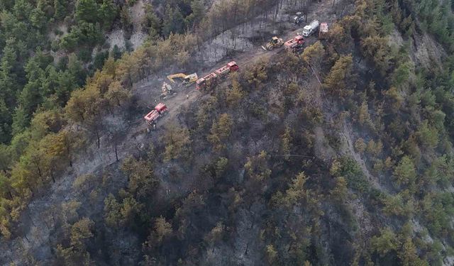 Orman yangınında zarar gören alanlar dronla görüntülendi