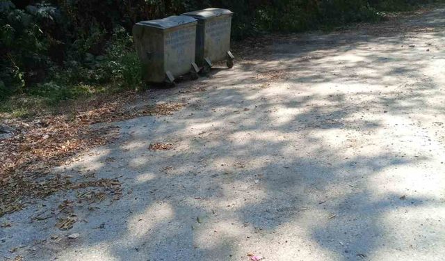 Şeker Kanyonu’ndaki çevre kirliliği giderildi
