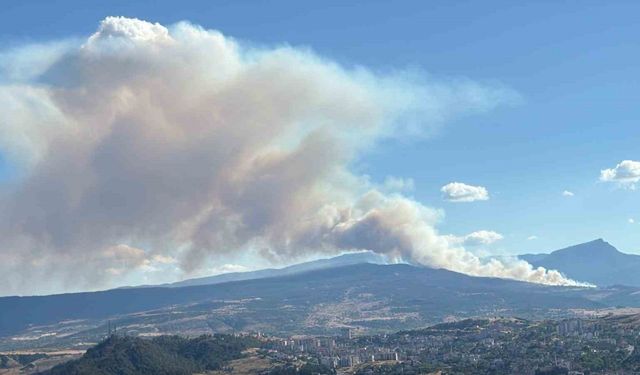 Karabük’te yangınlar art arda çıkıyor