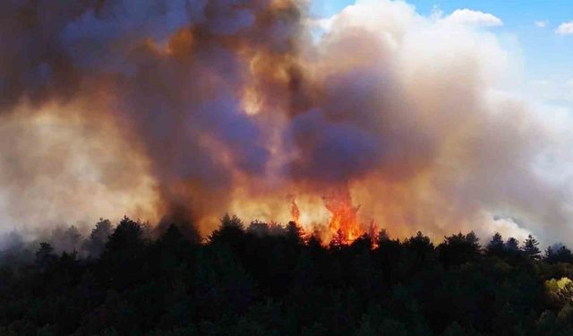 Karabük’teki yangın 48 saattir devam ediyor