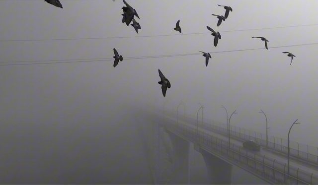 Yoğun sisten kaybolan yapılar dronla görüntülendi