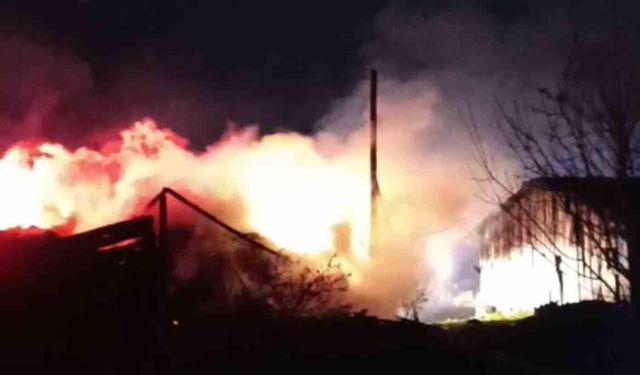 Karabük'te samanlık ve odunluk yangında küle döndü