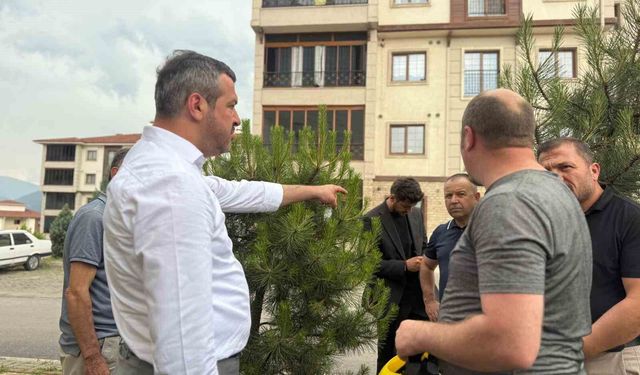 Başkan Çetinkaya'dan Belen TOKİ'ye tema park müjdesi