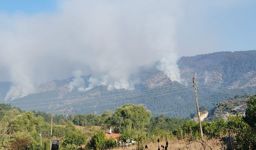 Orman yangınını söndürme çalışmaları 22 saattir sürüyor