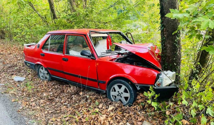 Ağaca çarpan otomobildeki 2 kişi yaralandı