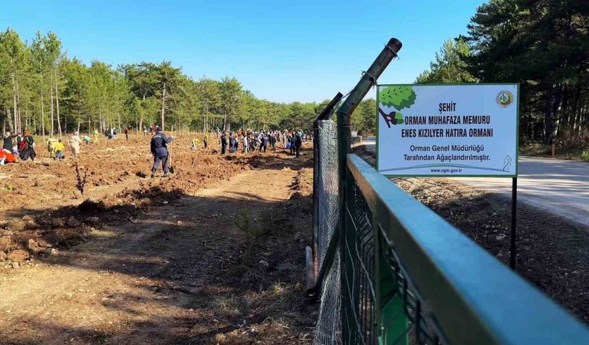 Şehit orman işçisi Enes Kızılyer anısına çeşme açılışı ve fidan dikimi yapıldı
