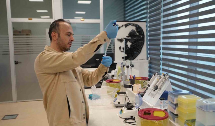 KBÜ'de kanser ilaçları için yerli kit geliştiriliyor