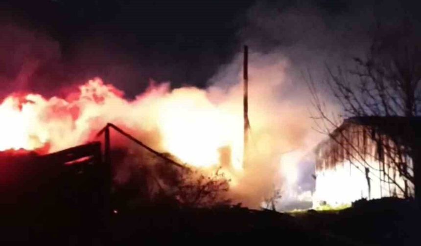 Karabük'te samanlık ve odunluk yangında küle döndü