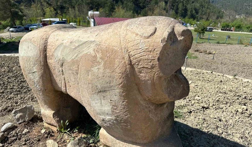 Tarihi eser operasyonunda Roma dönemine ait aslan heykeli ele geçirildi