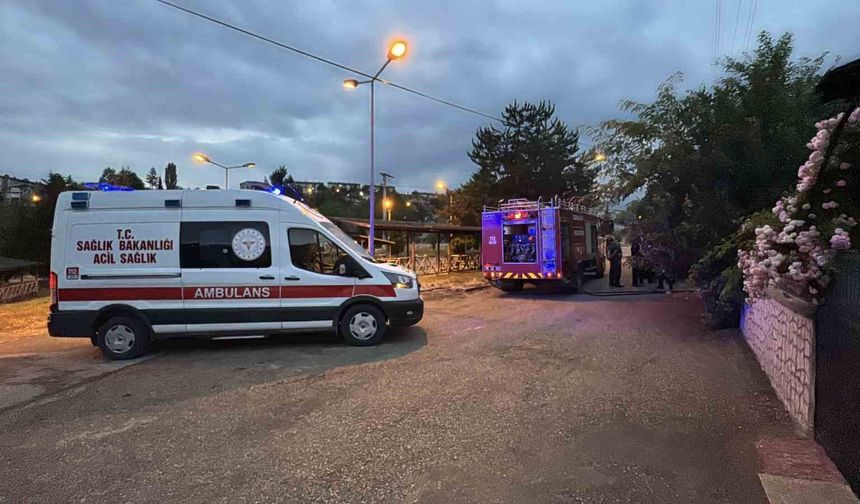 Ardiyede çıkan yangın evlere sıçramadan söndürüldü