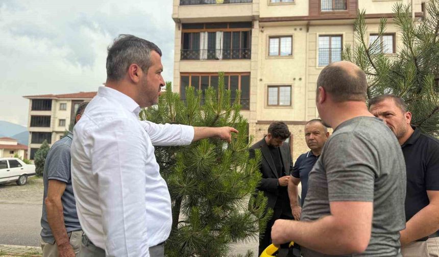 Başkan Çetinkaya'dan Belen TOKİ'ye tema park müjdesi
