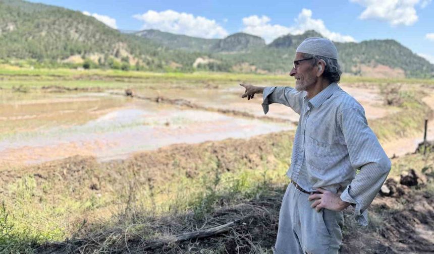 Karabük'te yaka seli çeltik tarlalarını vurdu