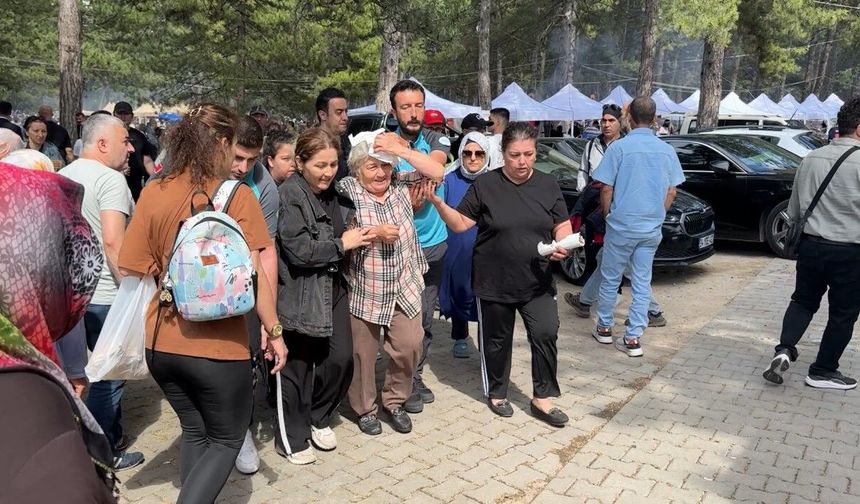 Şenlikte ağaçtan düşen dal yaşlı kadını yaraladı